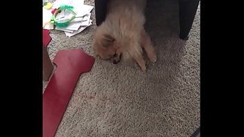 Aidé avec la grosse bite et sucer la jolie blonde